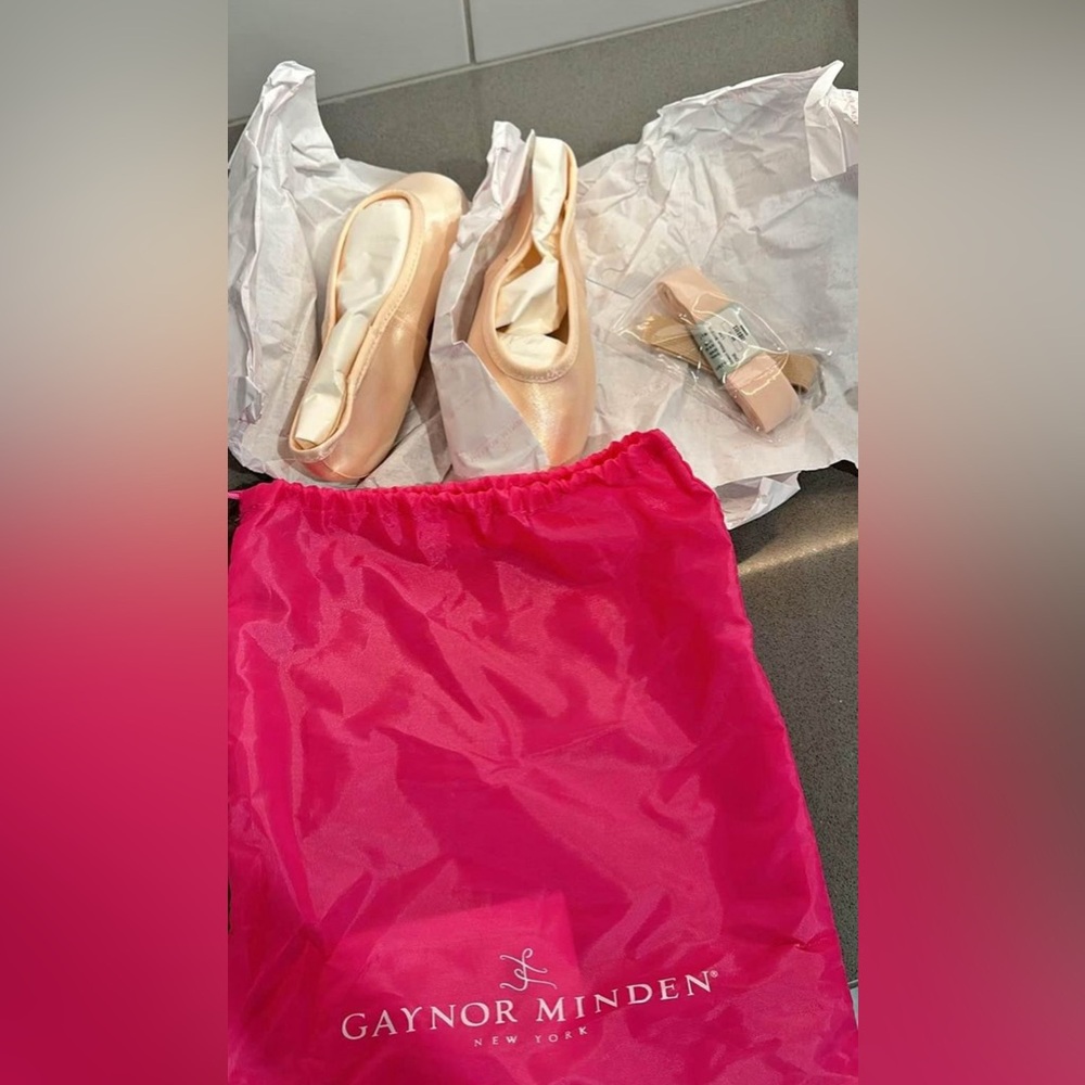 NWT Gaynor Minden Pointe shoes